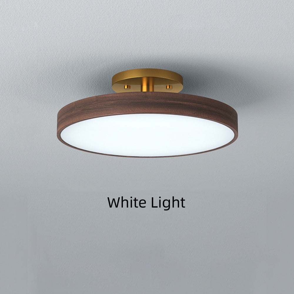 Round LED Ceiling Light - Modern Brown Acrylic Lamp for Bedroom