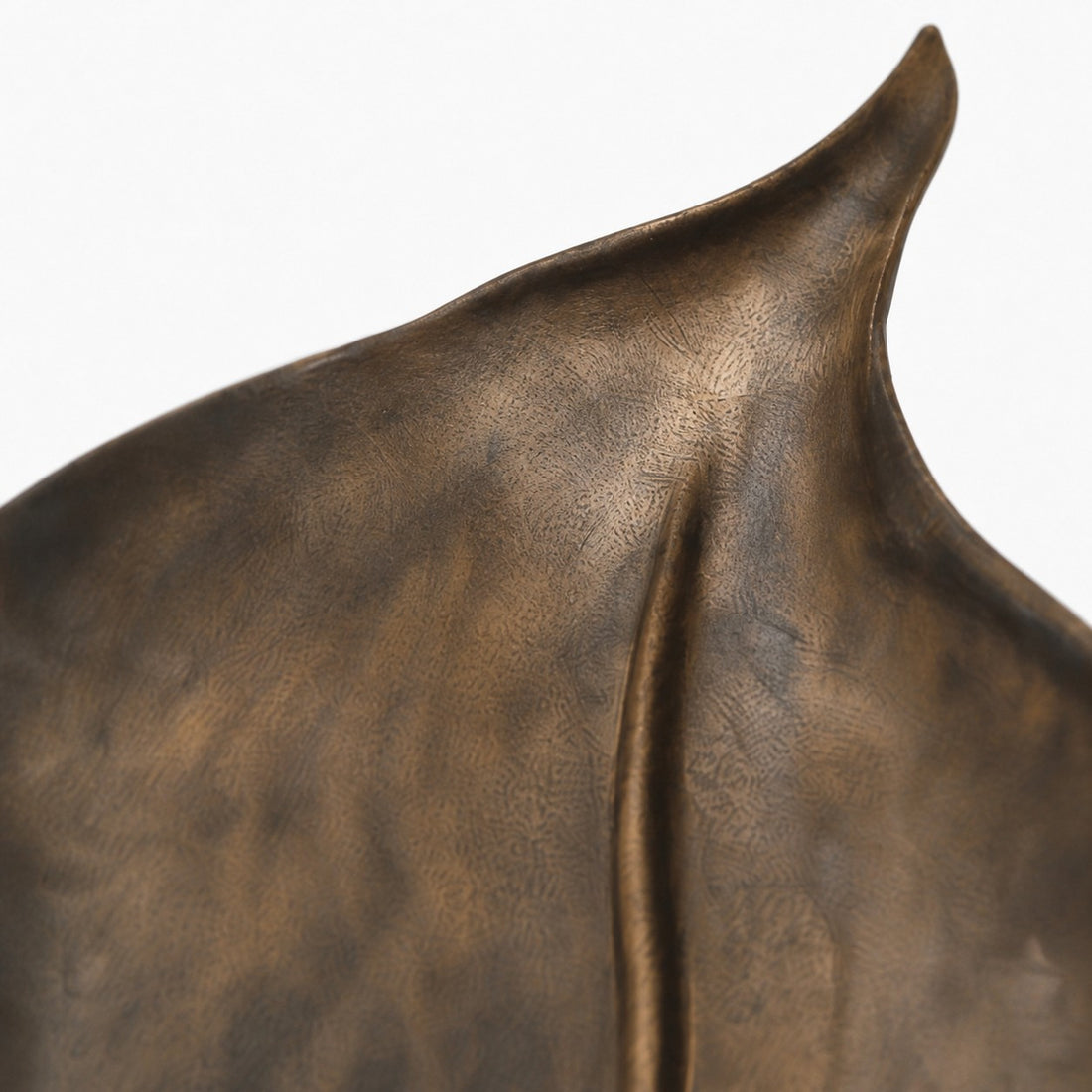 Carbonized solid wood surface texture