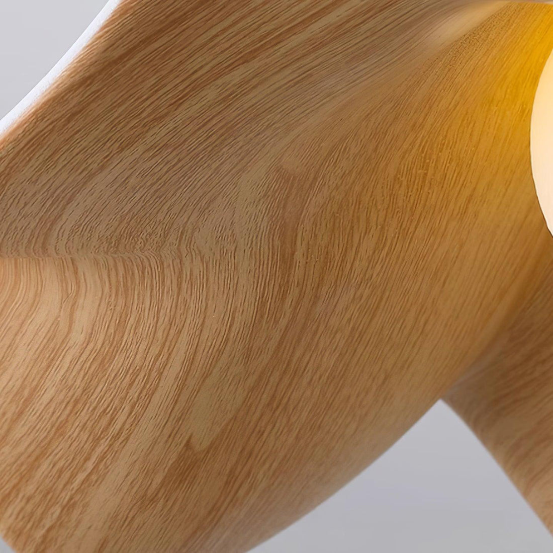 Leaf Vein Glass Plug-In Pendant Lamp