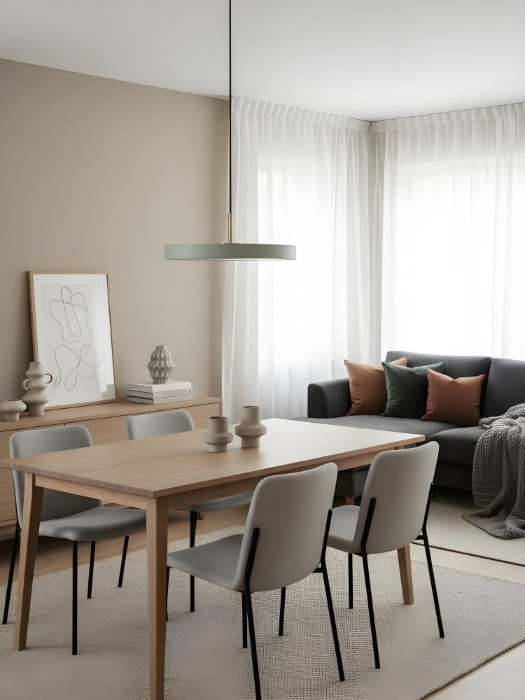 Asteria Minimalist Metal and Acrylic LED Pendant Light
