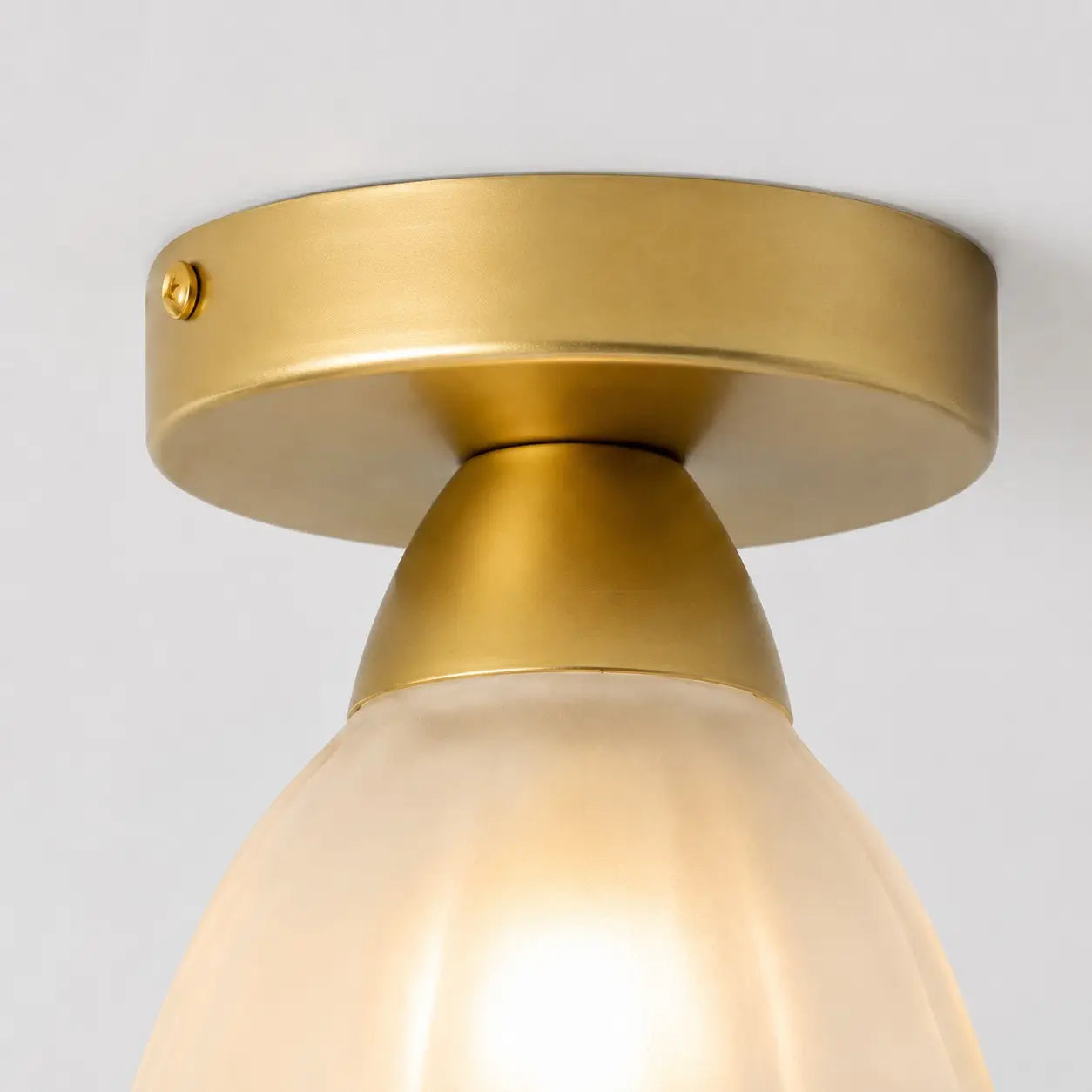 Gold finish ceiling canopy and fixing screw detail