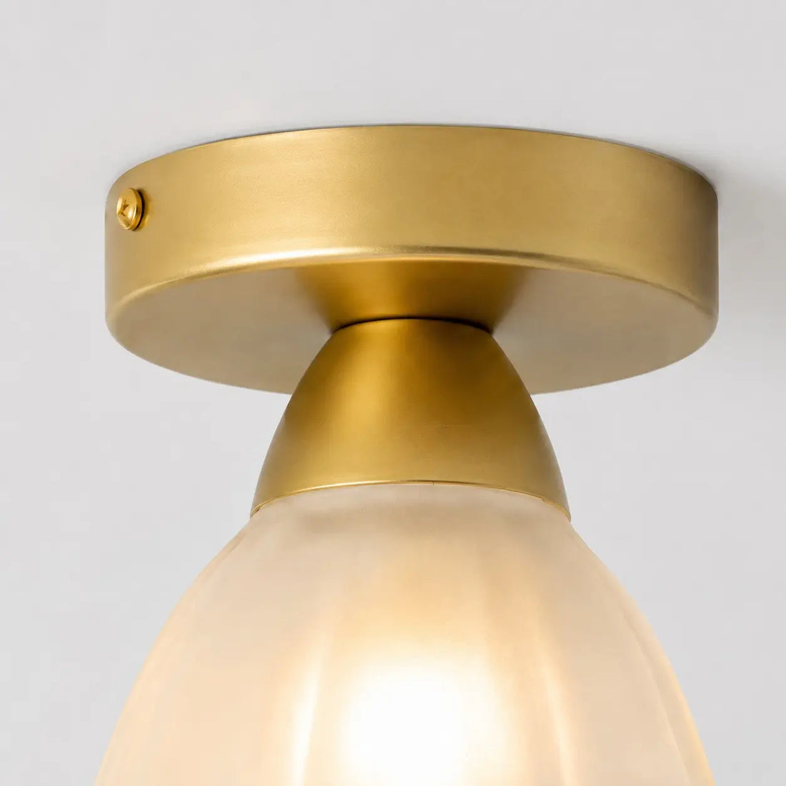 Gold finish ceiling canopy and fixing screw detail