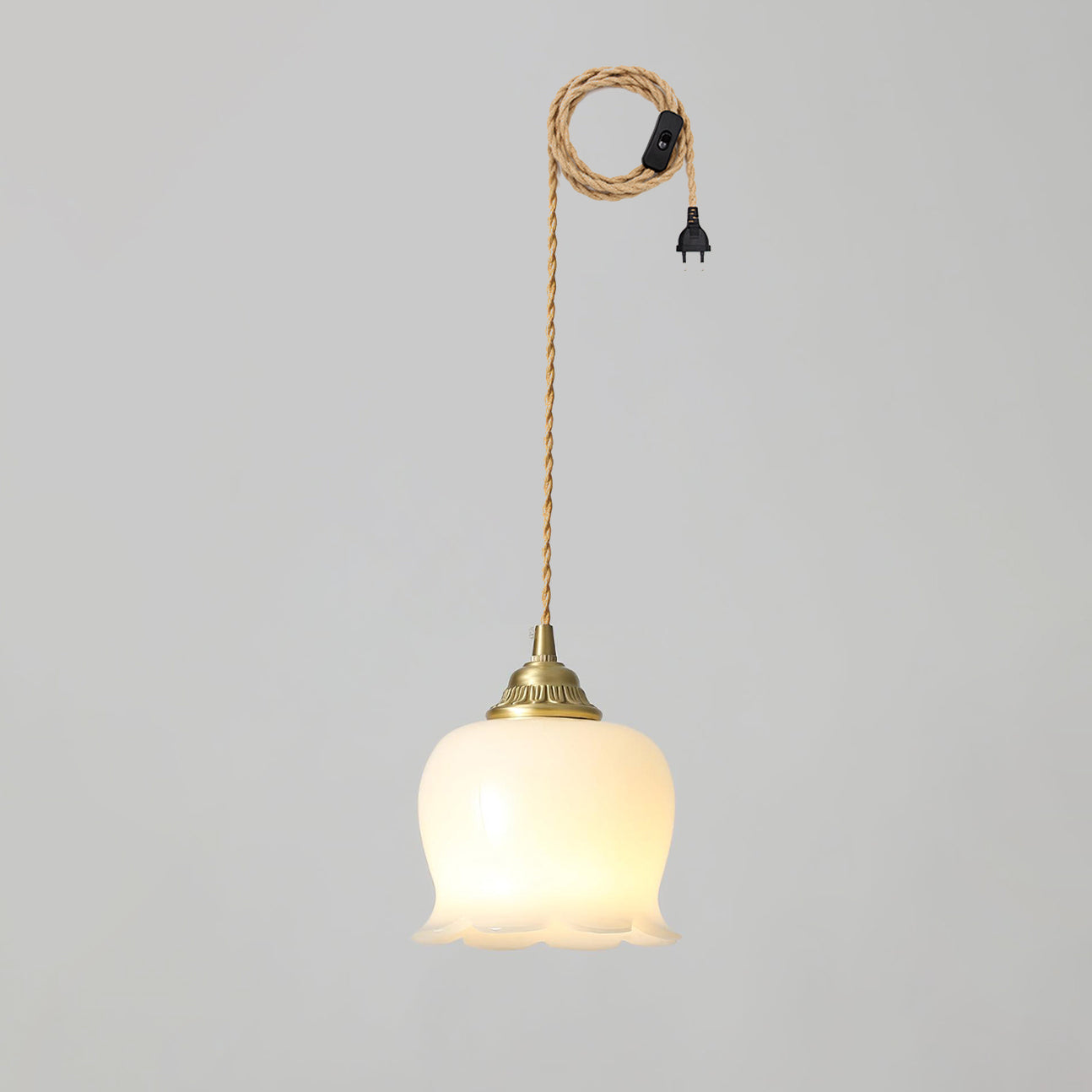 Brass Resin Petal Plug-In Pendant