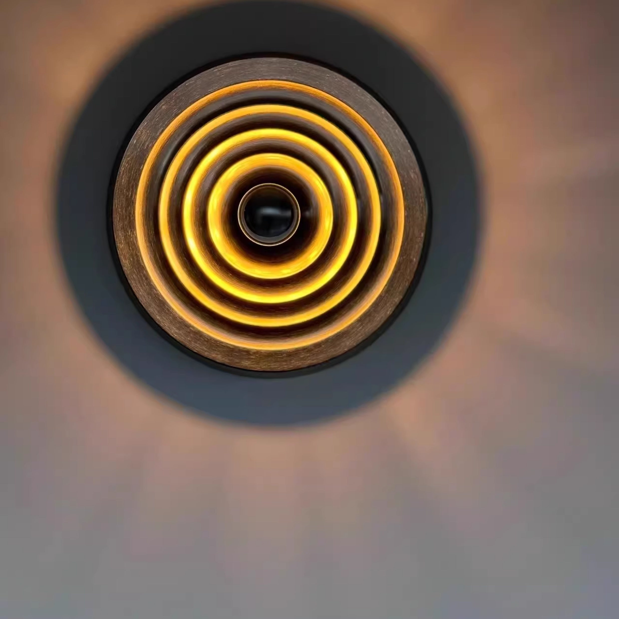 Space Age Disc Ceiling and Wall Lamp