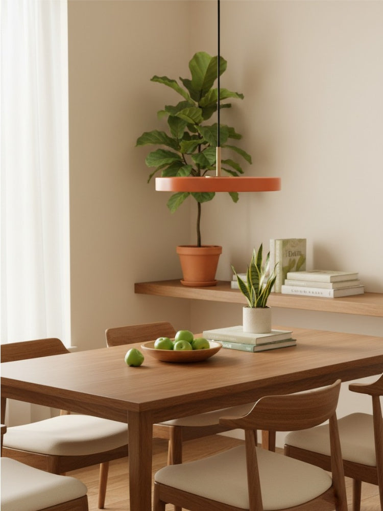 Asteria Minimalist Metal and Acrylic LED Pendant Light