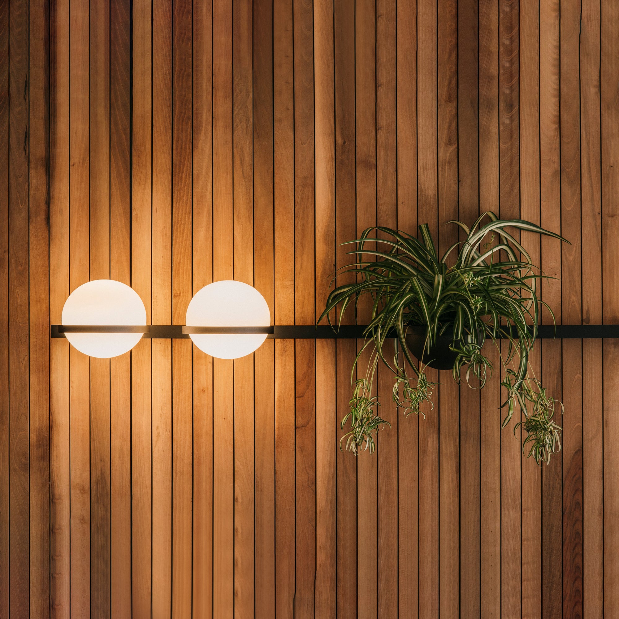 Modern Metal Wall Light - Black Frame Glowing Sphere Lamp for Garden