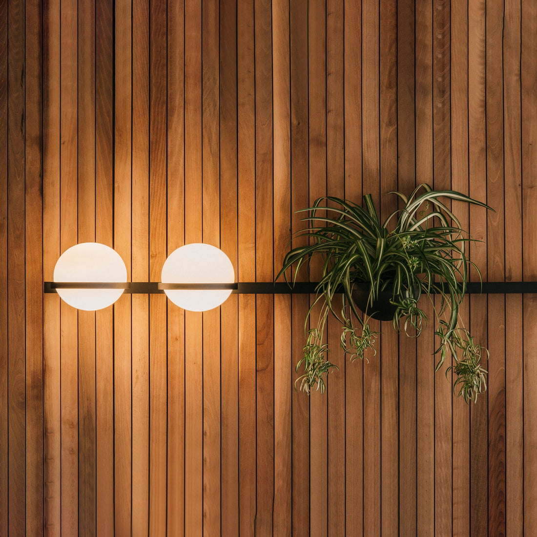 Modern Metal Wall Light - Black Frame Glowing Sphere Lamp for Garden