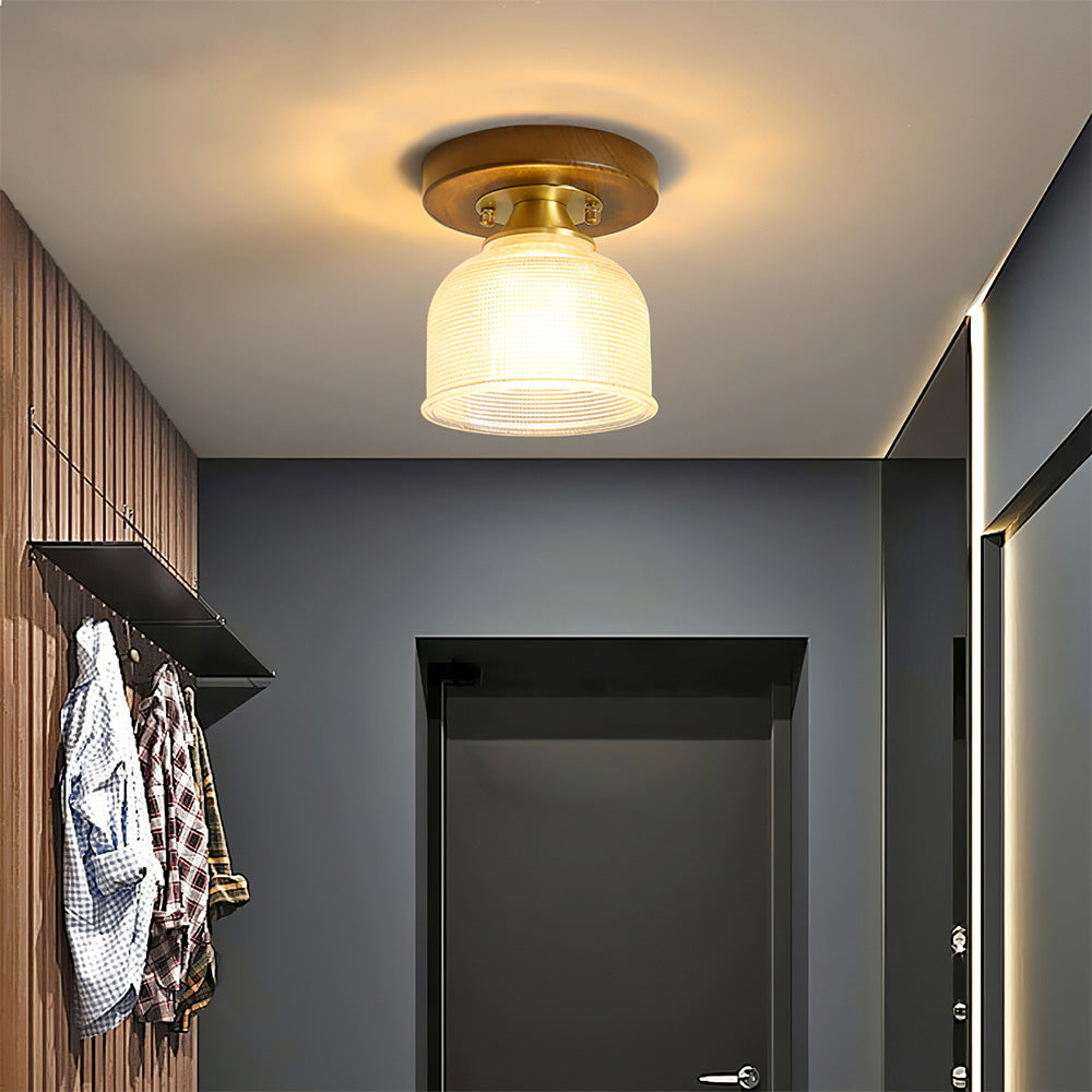 Contemporary Glass Ceiling Light - Modern Living Room Fixture