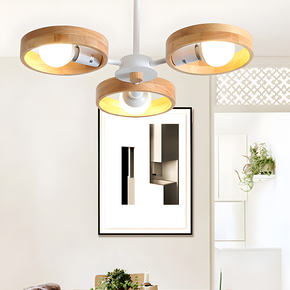 Eco-Friendly Ceiling Light - Modern Living Room Lamp Adjustable