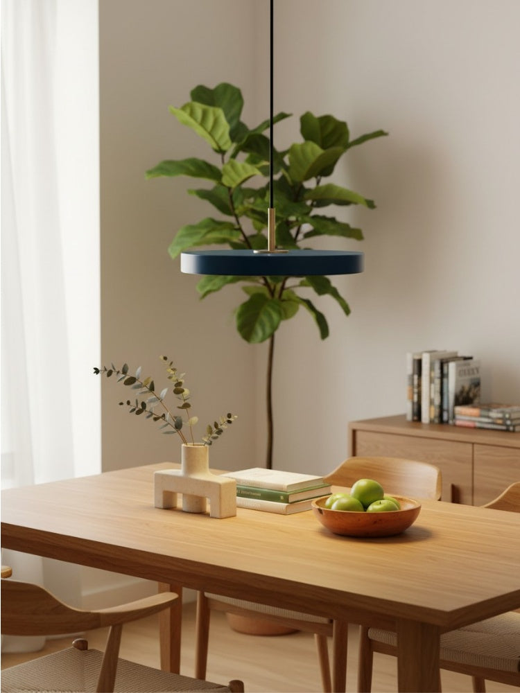 Asteria Minimalist Metal and Acrylic LED Pendant Light