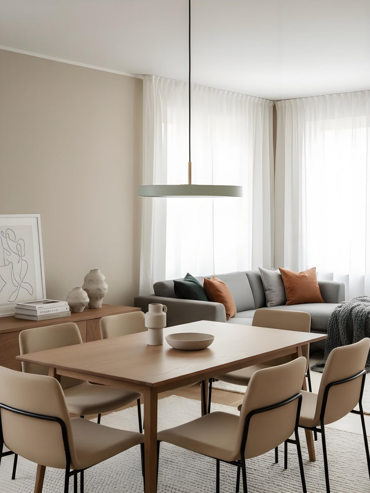 Asteria Minimalist Metal and Acrylic LED Pendant Light