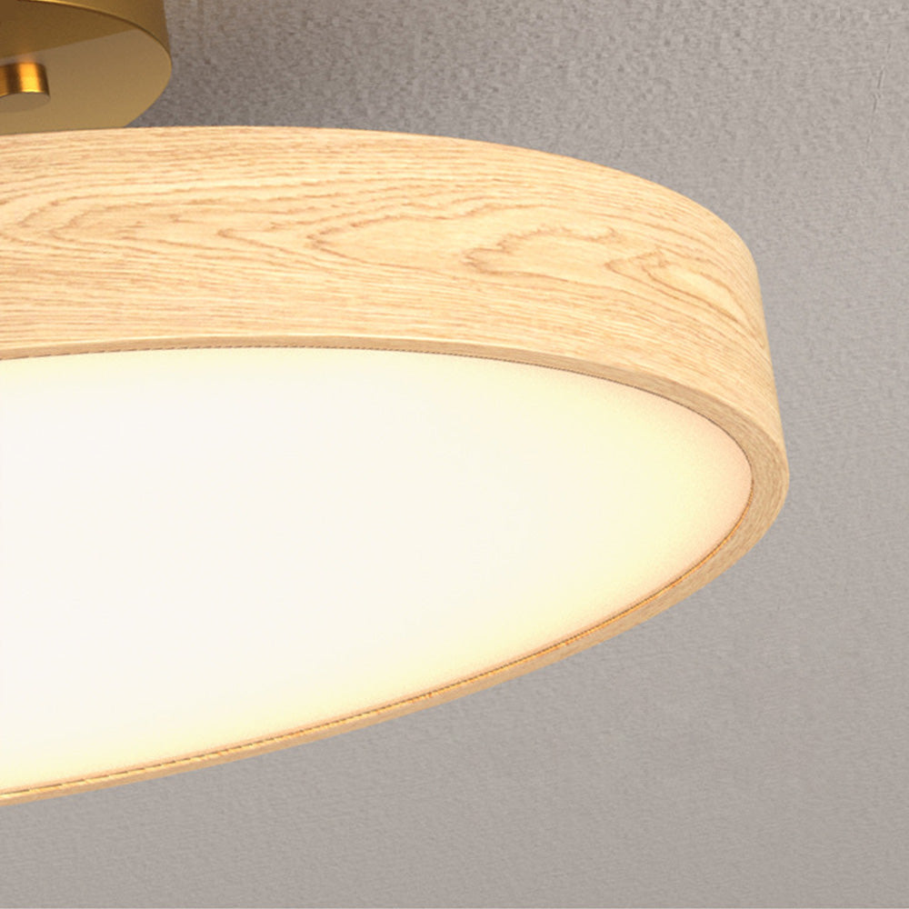 Round LED Ceiling Light - Modern Brown Acrylic Lamp for Bedroom