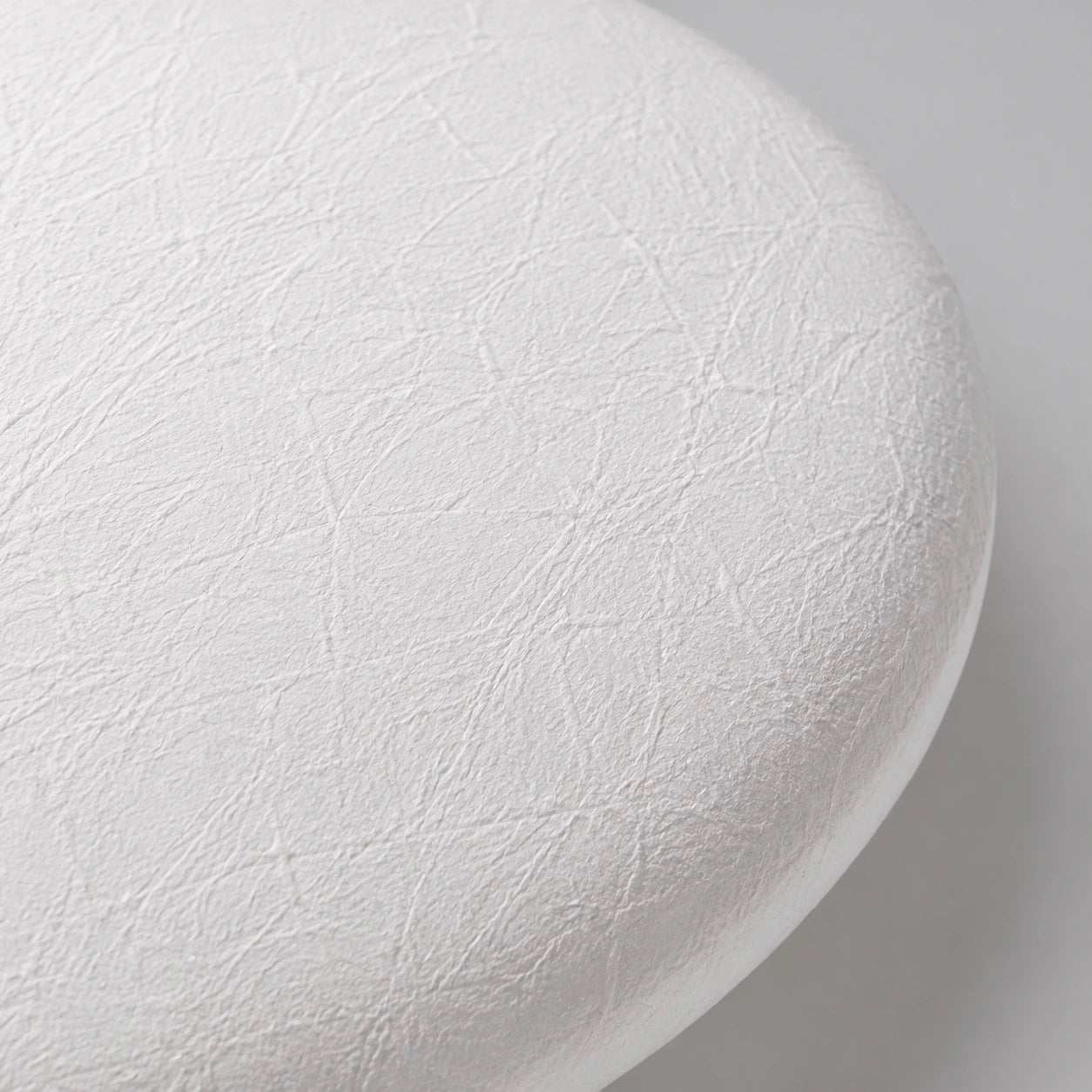 detail_closeup