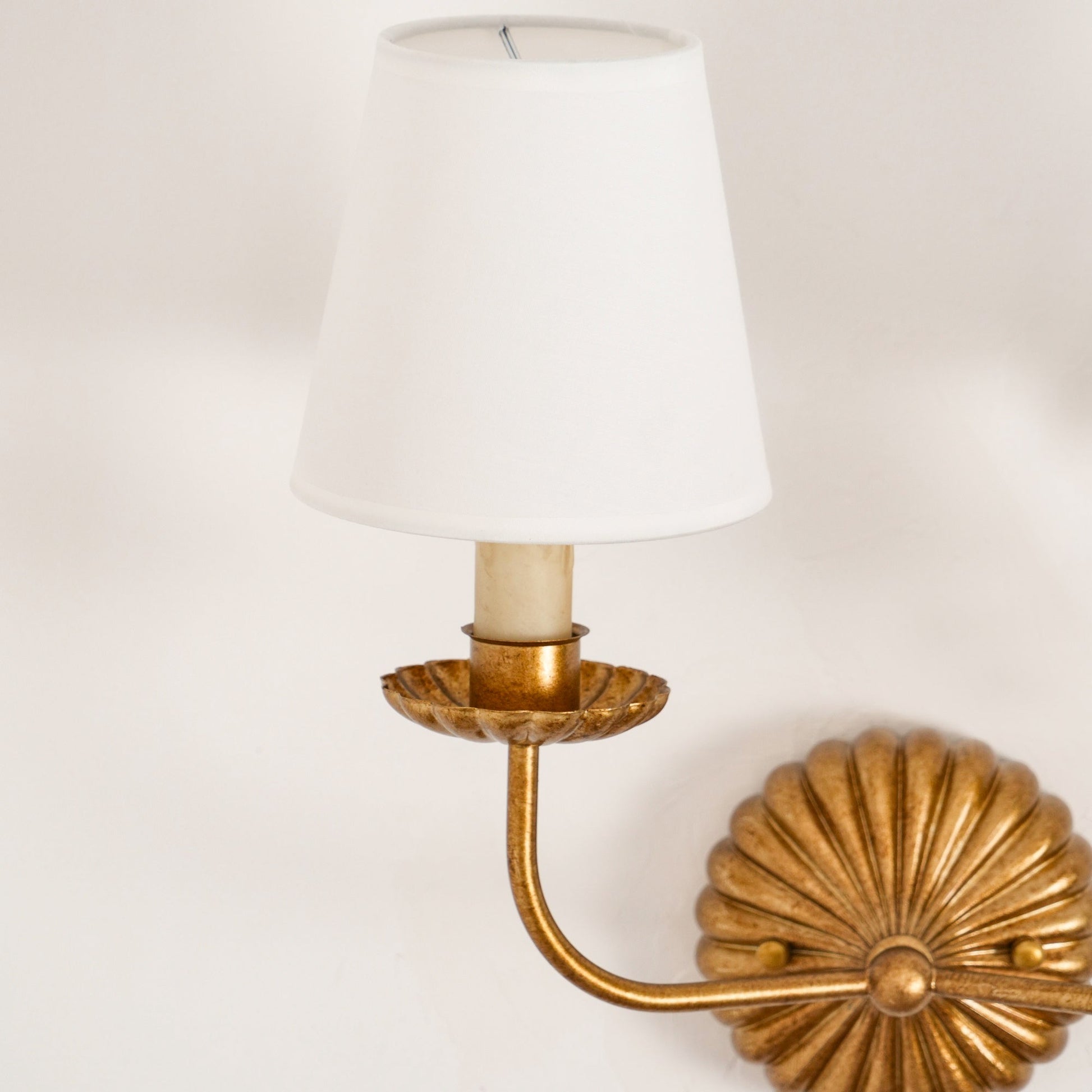 Catina Clove Wall Sconce Double