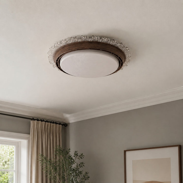 Round LED ceiling light 17