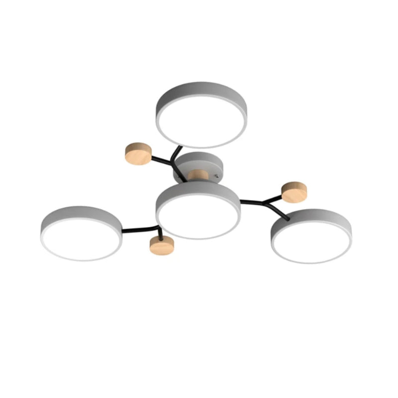 Morandi Disc Branch Multihead Ceiling Light