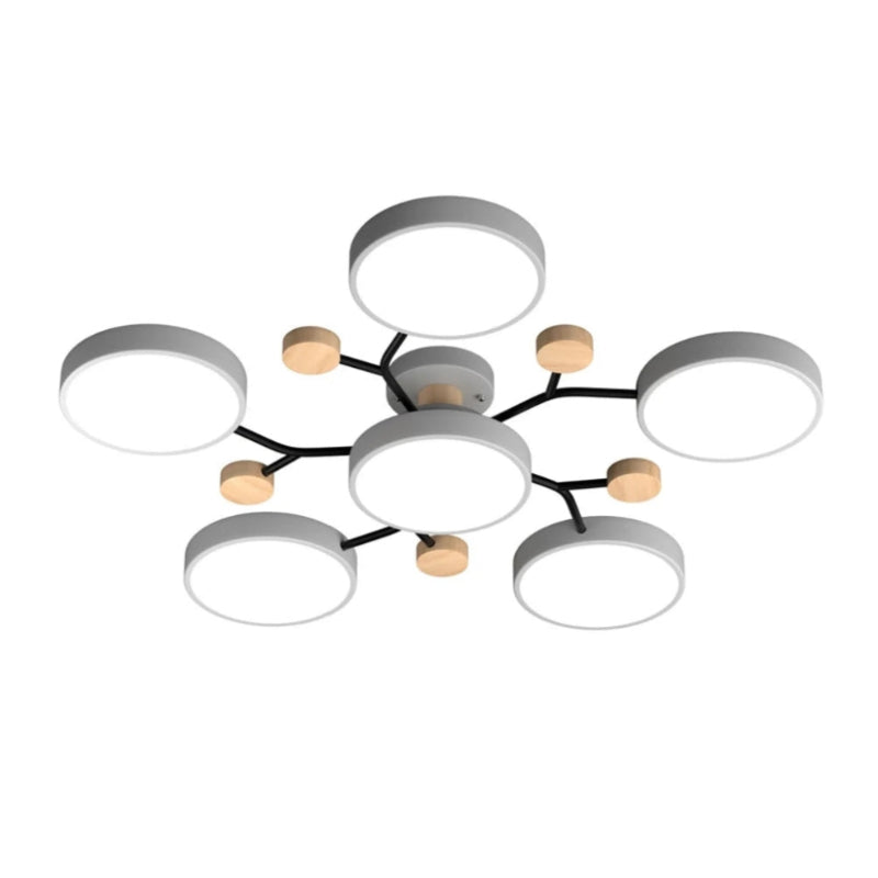 Morandi Disc Branch Multihead Ceiling Light